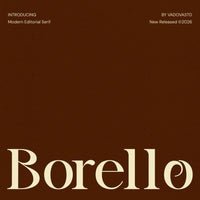Borello Modern Editorial Serif Font