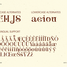 borello-modern-editorial-serif-font-vadova-studio-4.png