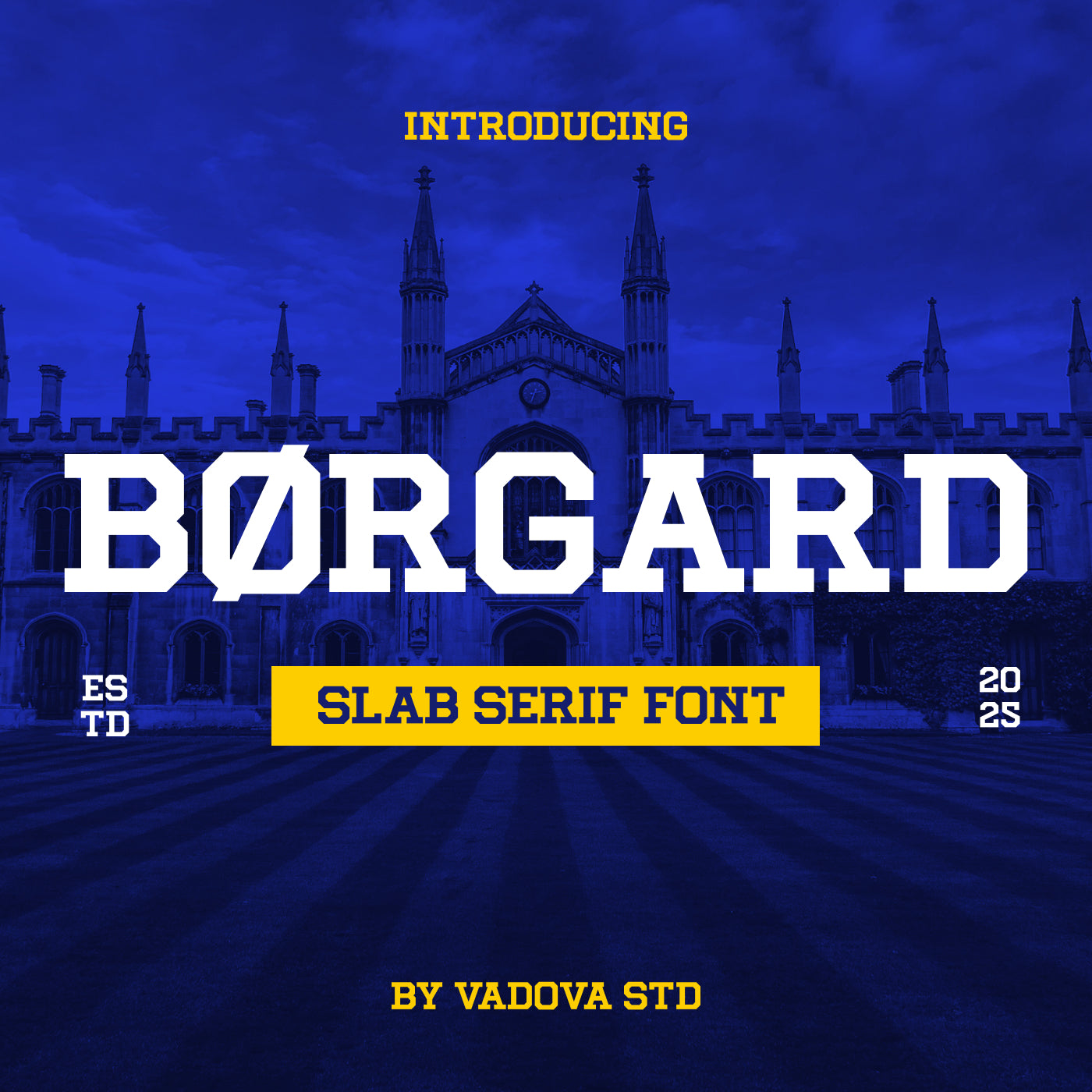 borgard-slab-serif-font-vadova-studio-1.jpg