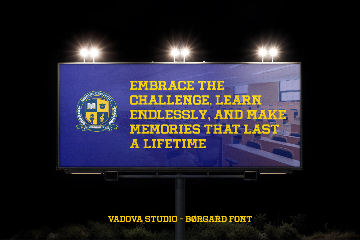 borgard-slab-serif-font-vadova-studio-6.jpg