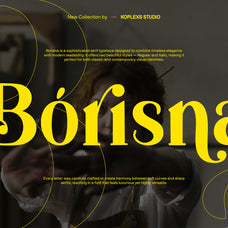 borisna-font-elegant-serif-typeface-koplexs-studio-13.jpg