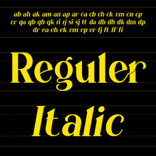 borisna-font-elegant-serif-typeface-koplexs-studio-6.jpg