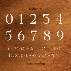 bornatte-modern-ornament-serif-font-rasio-std-3.png