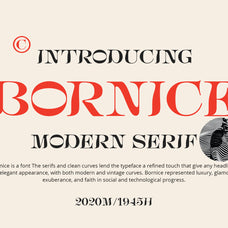 bornice-damelev-2.jpg