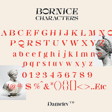 bornice-damelev-7.jpg