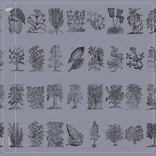 Botanical Collection