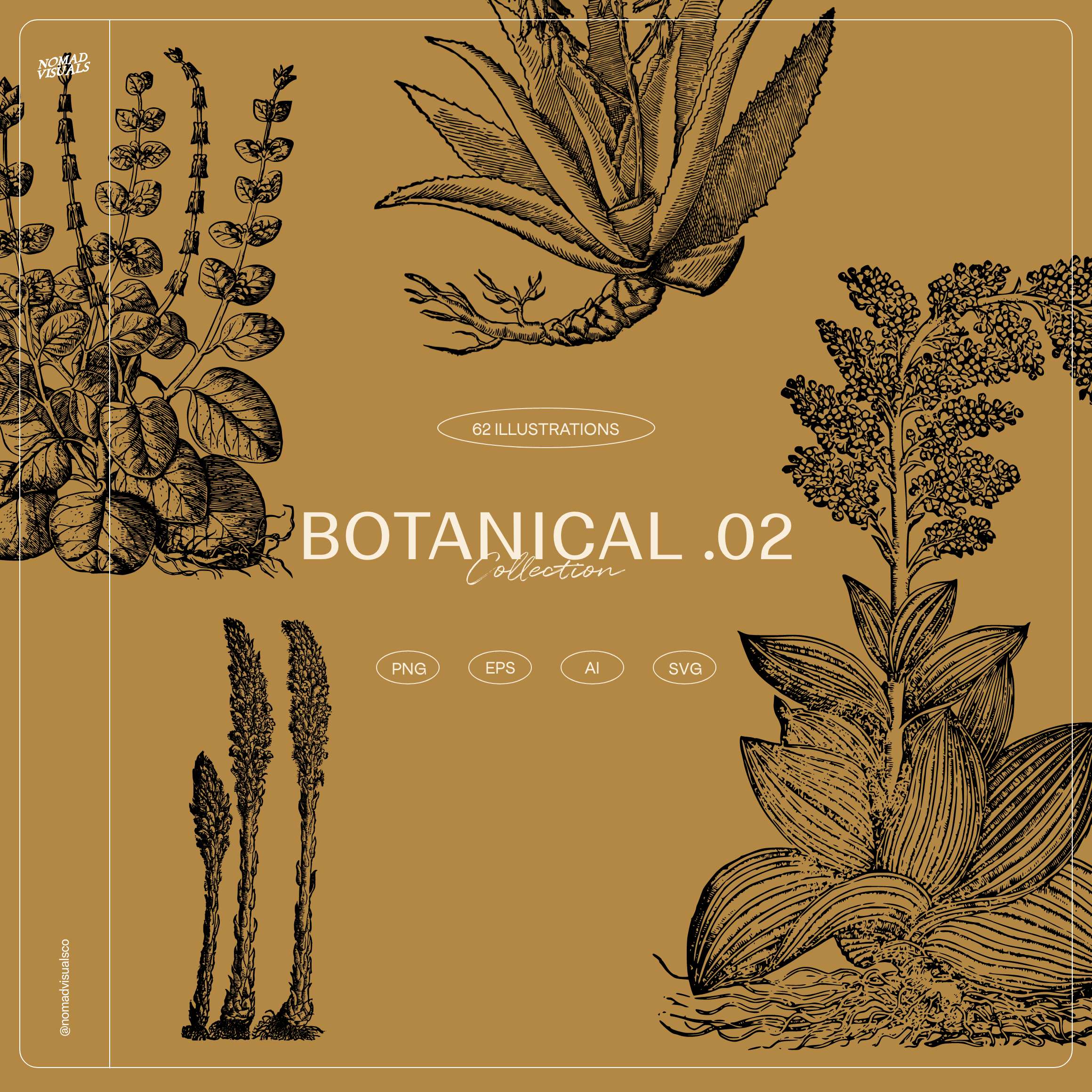 Botanical Collection