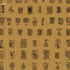 Botanical Collection