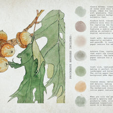 Botanical Watercolor Procreate Kit