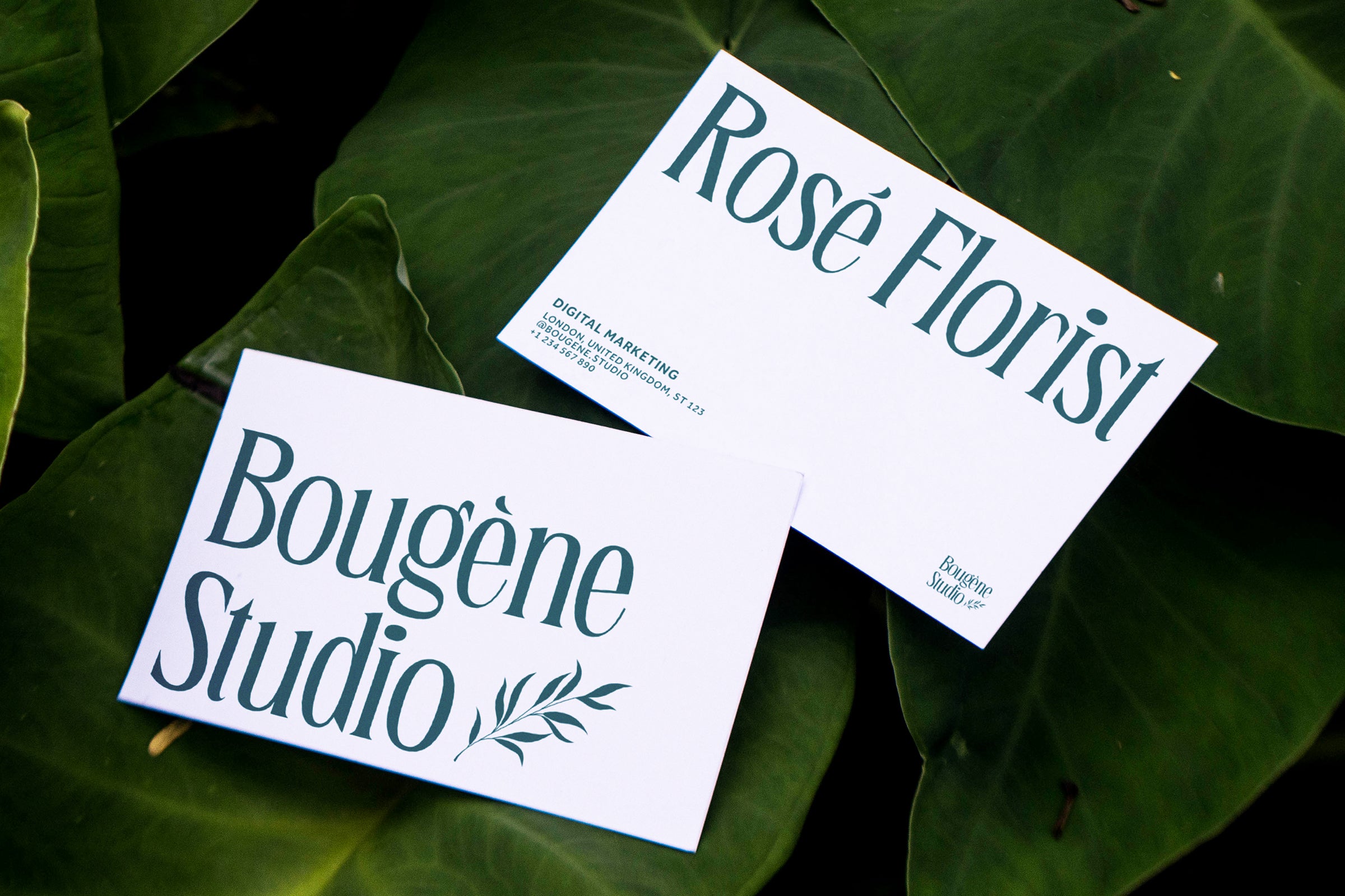 bougene-display-serif-font-sekyra-lab-11.jpg