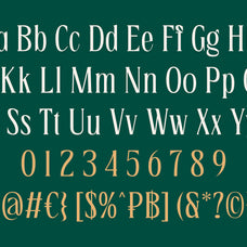 bougene-display-serif-font-sekyra-lab-14.jpg