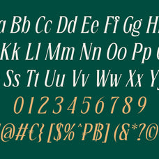 bougene-display-serif-font-sekyra-lab-4.jpg