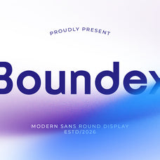 boundex-modern-sans-display-sixtysix-labs-studio-2.jpg