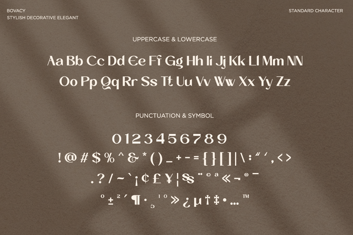 bovacy-modern-elegant-serif-say-studio-14.png