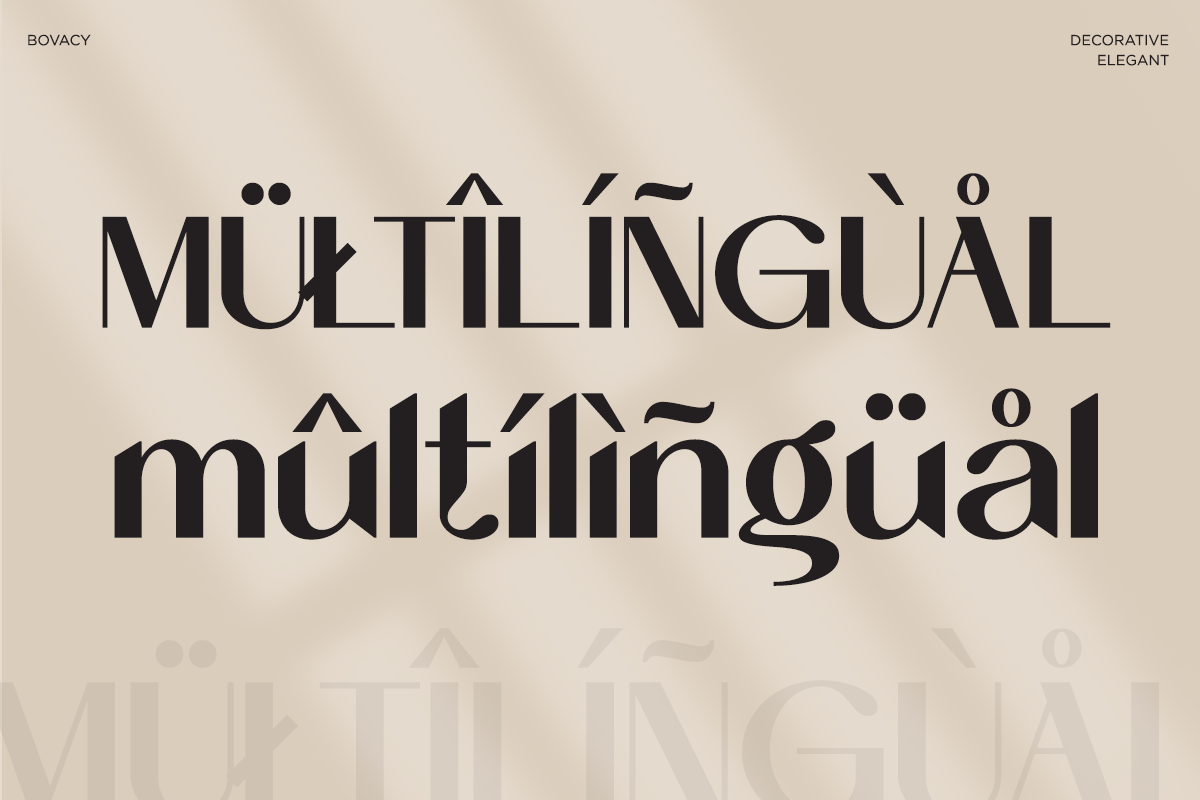 bovacy-modern-elegant-serif-say-studio-15.png