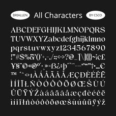 briallen-elegant-font-craft-supply-co-8.jpg