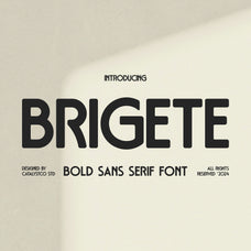brigete-bold-sans-serif-font-catalystco-studio-1.jpg