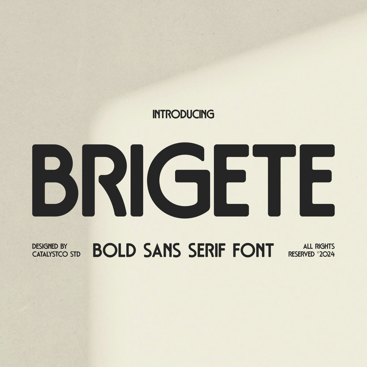 brigete-bold-sans-serif-font-catalystco-studio-1.jpg
