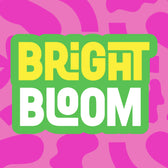 Bright Bloom Fun Display Font