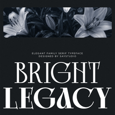 bright-legacy-family-luxury-serif-font-say-studio-1.png