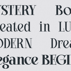 bright-legacy-family-luxury-serif-font-say-studio-5.png