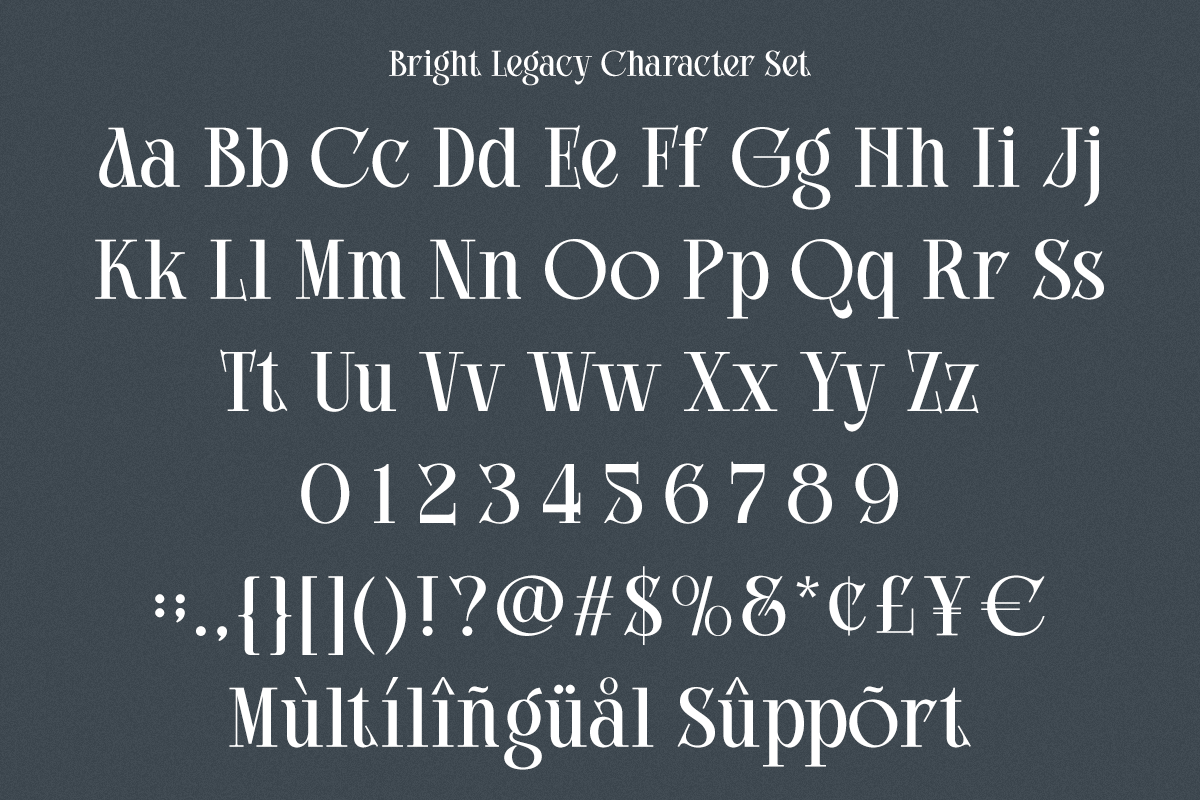 bright-legacy-family-luxury-serif-font-say-studio-8.png