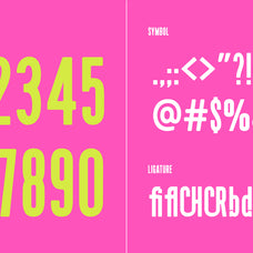 brightform-bold-condensed-sans-serif-font-rasio-std-5.jpg