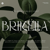 Brikelia - Minimalist Fashionable Font