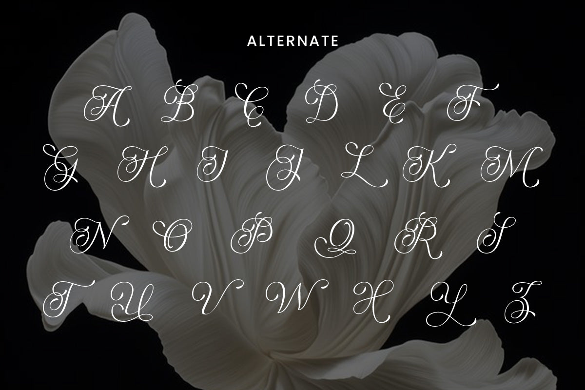 brikey-moura-timeless-serif-typeface-roomspace-creative-lab-11.jpg