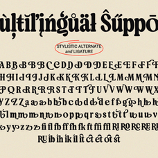 bringbold-nineties-font-zarma-type-14.png