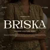 Briska - Modern Ligature Serif Font