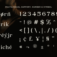 briska-modern-ligature-serif-font-ragamkata-studio-10.png