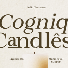 briska-modern-ligature-serif-font-ragamkata-studio-4.png