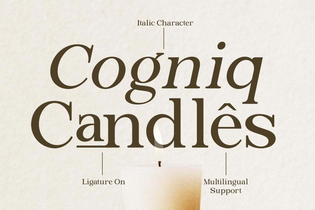 briska-modern-ligature-serif-font-ragamkata-studio-4.png