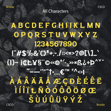 broide-display-serif-craft-supply-co-8.jpg