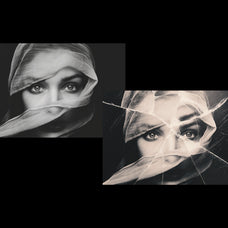 Broken Glass Shards Photo Effect