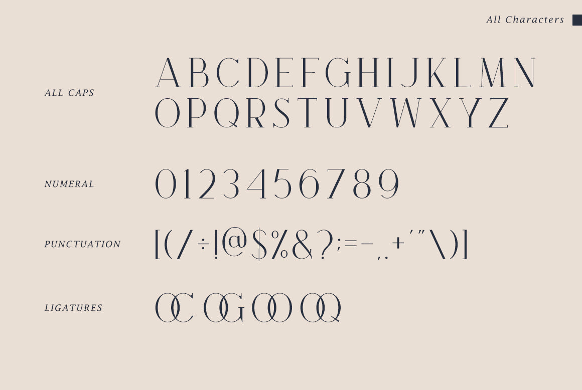 brooke-serif-font-family-unknown-creator-9.jpg