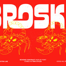 broski-reverse-contrast-display-font-sekyra-lab-2.jpg