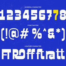 broski-reverse-contrast-display-font-sekyra-lab-5.jpg