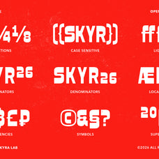 broski-reverse-contrast-display-font-sekyra-lab-8.jpg