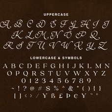 brown-royal-stylish-ligature-font-unknown-creator-9.jpg