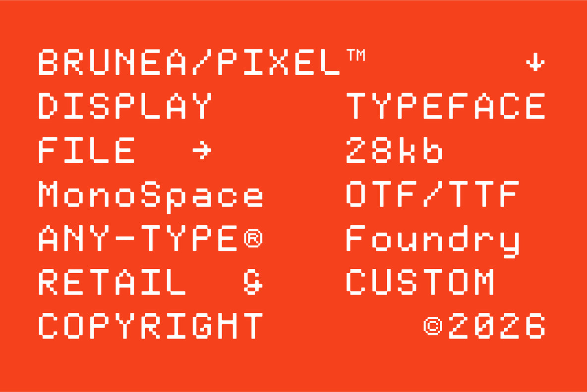 brunea-mono-pixel-monospaced-display-font-any-type-foundry-2.jpg