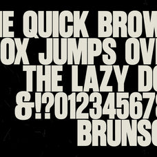 brunson-font-the-branded-quotes-6.jpg