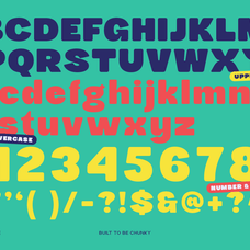 buchi-sans-bold-chunky-display-font-roomspace-creative-lab-10.png