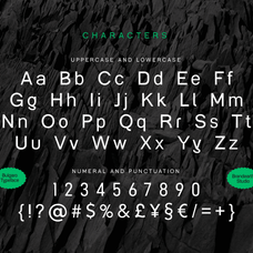 bulgaro-display-sans-serif-typeface-font-brandearth-studio-2.png