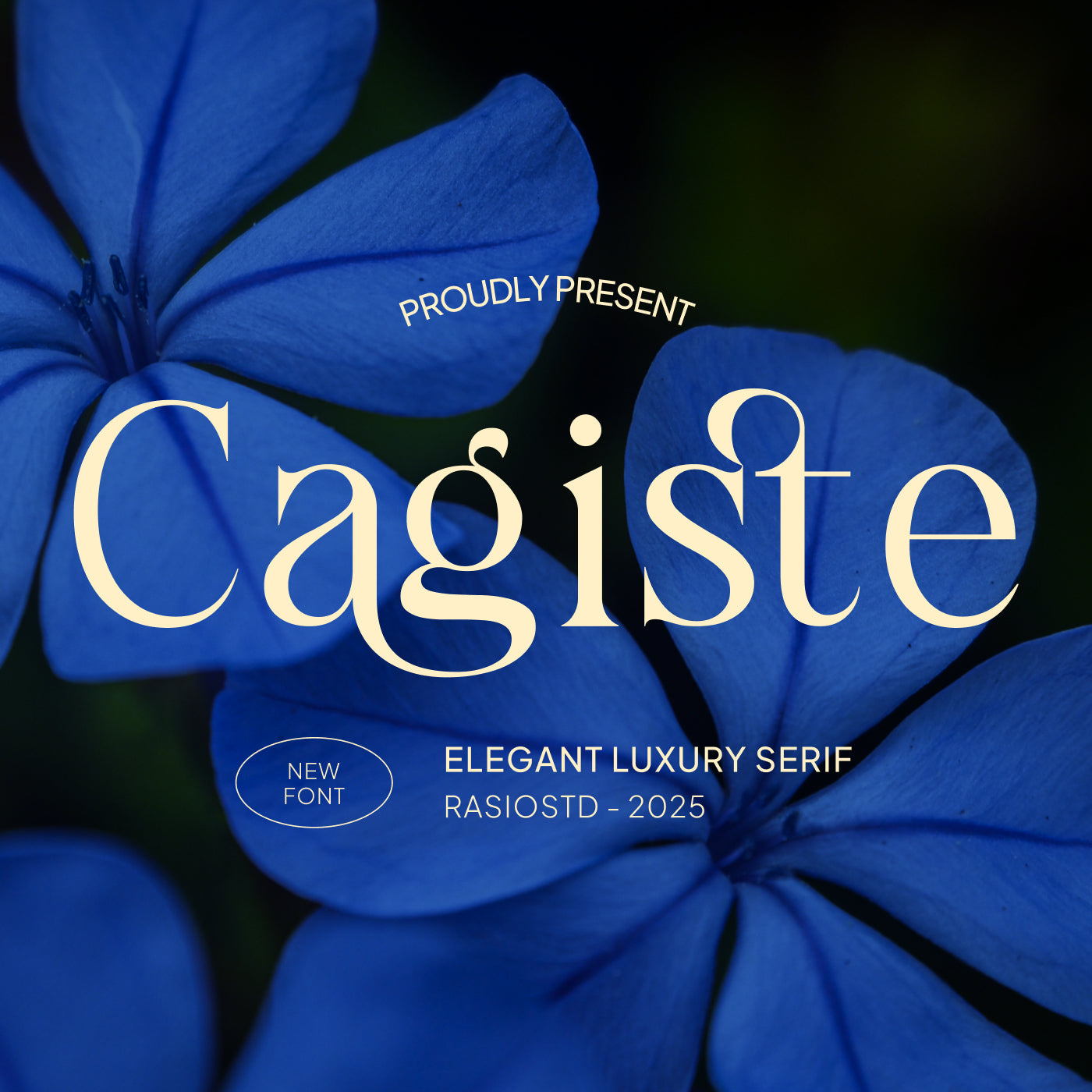 cagiste-elegant-luxury-serif-font-rasio-std-1.jpg