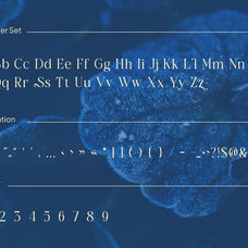 cagiste-elegant-luxury-serif-font-rasio-std-2.jpg