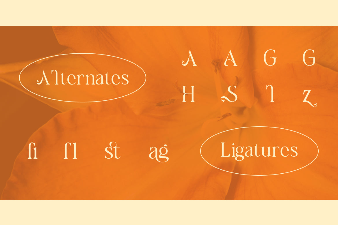 cagiste-elegant-luxury-serif-font-rasio-std-3.jpg