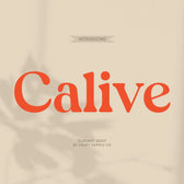 Calive – Nostalgic Font