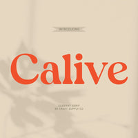 Calive – Nostalgic Font